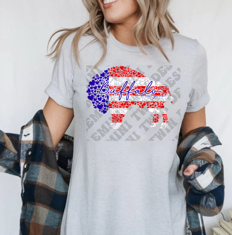 American Flag Buffalo