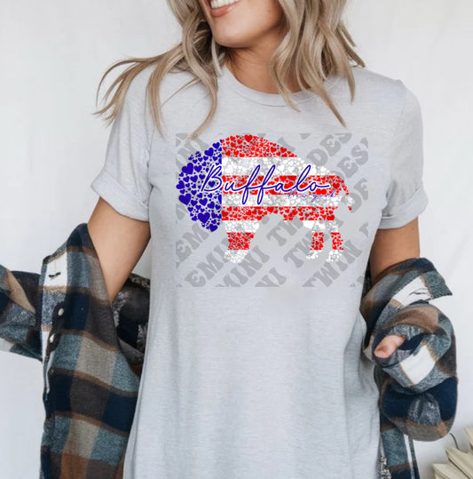 American Flag Buffalo
