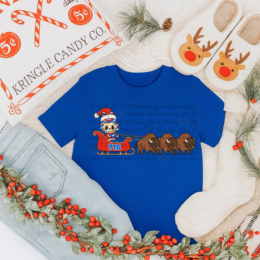 La Bu Ffalo in a sleigh
